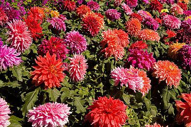 《暗黑破坏神3》第24赛季将于12月5日下午4点结束